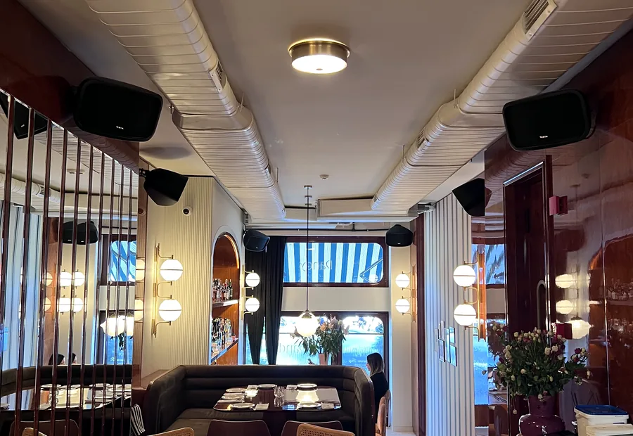 Restoran ve Kafeler ses ve görüntü sistemi